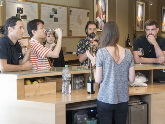 コート・デュ・ローヌ　シャトーヌフ・デュ・パプ　ワイナリー訪問半日ツアー＜試飲付／英語ドライバーガイド／アヴィニョン発着＞
