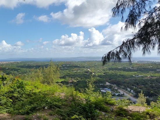 【貸切ツアー】マリアナ政府公認ガイドとサイパンの歴史・戦跡めぐる慰霊の旅　オーダーメイドコース＜日本語ガイド／2時間／送迎付き＞