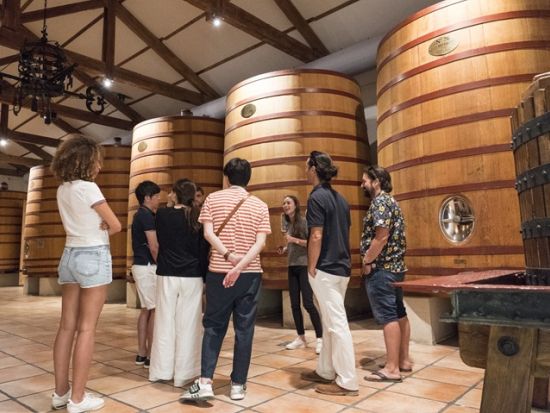 コート・デュ・ローヌ　シャトーヌフ・デュ・パプ　ワイナリー訪問半日ツアー＜試飲付／英語ドライバーガイド／アヴィニョン発着＞