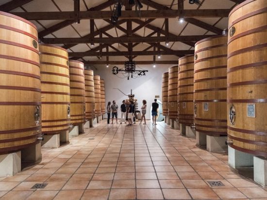 コート・デュ・ローヌ　シャトーヌフ・デュ・パプ　ワイナリー訪問半日ツアー＜試飲付／英語ドライバーガイド／アヴィニョン発着＞