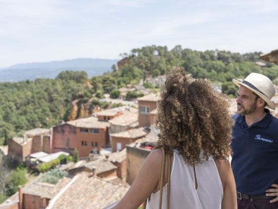 【6月6日～7月31日】南仏プロヴァンス ラベンダー鑑賞 終日ツアー　ゴルド＋セナンク修道院へ立ち寄り＜英語／アヴィニョン発＞