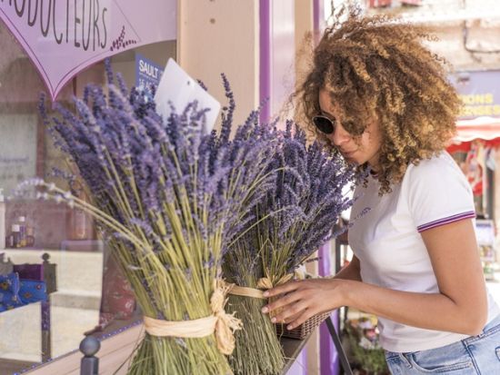 【6月10日～7月15日】南仏プロヴァンス ラベンダー鑑賞半日ツアー＜4時間／午前または午後発／英語／エクス・アン・プロヴァンス発＞