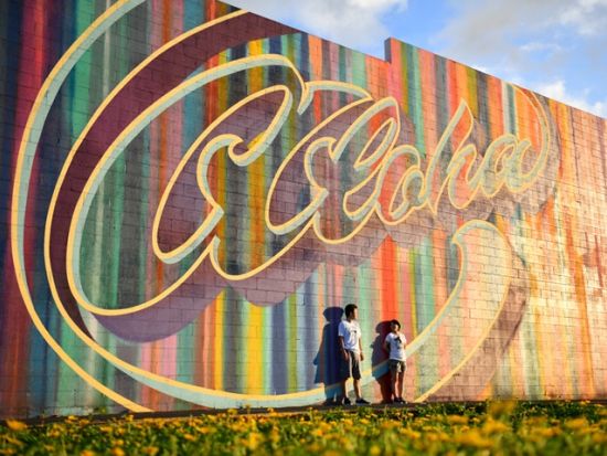 プロカメラマンと行くオアフ島絶景撮影フォトツアー　写真撮影＆データ付き＜午前・午後／2～4名／日本語／貸切チャーター＞