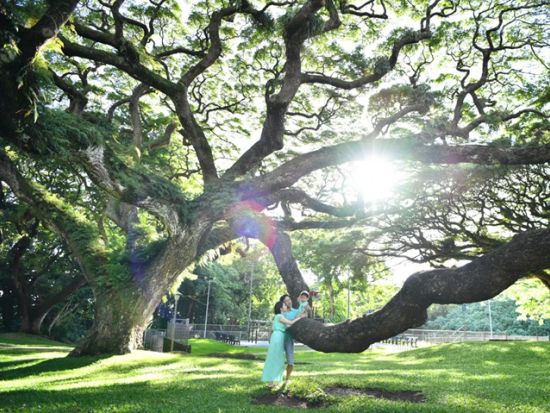 プロカメラマンと行くオアフ島絶景撮影フォトツアー　写真撮影＆データ付き＜午前・午後／2～4名／日本語／貸切チャーター＞