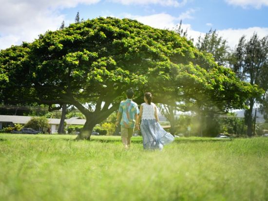 プロカメラマンと行くオアフ島絶景撮影フォトツアー　写真撮影＆データ付き＜午前・午後／2～4名／日本語／貸切チャーター＞