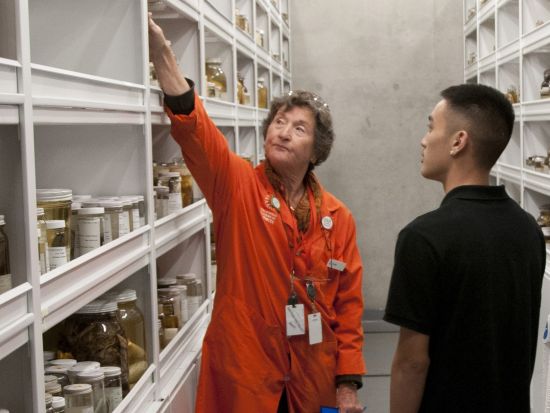 カリフォルニア科学アカデミー 　入場チケット＆裏側見学ツアー ＜英語ガイド＞