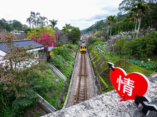 shutterstock_1485452789