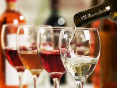 wine tasting (s)