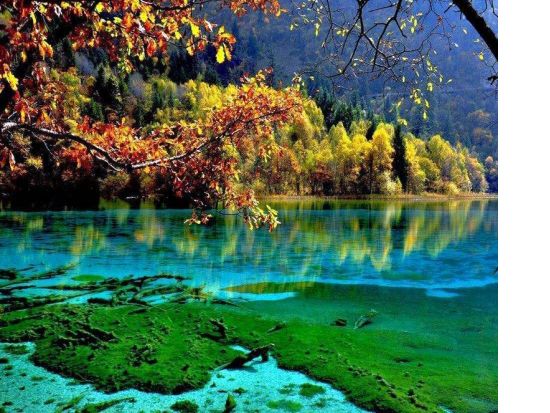 2泊3日ツアー　九寨溝を終日観光でたっぷり満喫！九寨溝＋黄龍 宿泊ツアー*5つ星ホテル利用＜貸切／航空券込／食事付／日本語ガイド／空港発＞