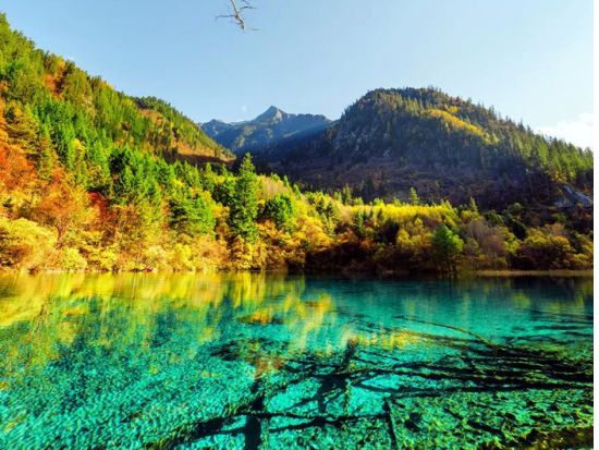 5つの世界遺産を巡る4泊5日ツアー　九寨溝＆黄龍＆兵馬俑＆大雁塔＆成都パンダ基地 ＜貸切／食事付き／航空券込／日本語ガイド／西安発＞