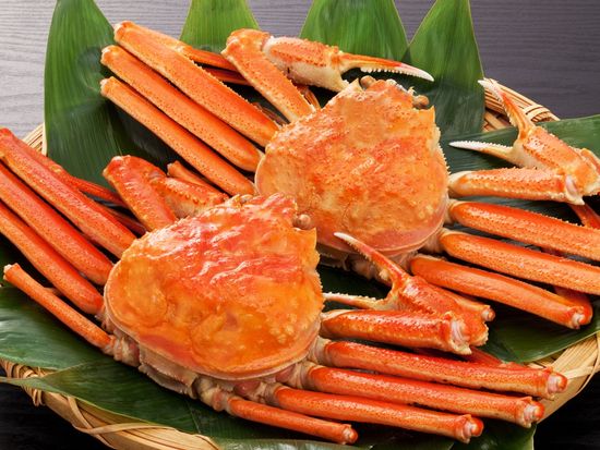 shutterstock_69387151