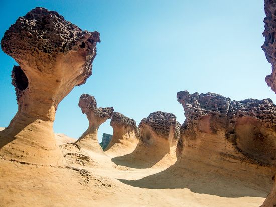 shutterstock_1423522262