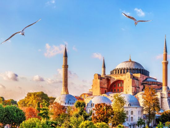 イスタンブール旧市街　1日観光ツアー　世界遺産アヤソフィア＆トプカプ宮殿などの名所を巡る王道コース ＜昼食付き／英語ガイド／イスタンブール発＞