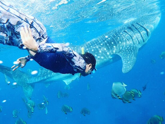 一緒に水中遊泳してみたり・・・(1)