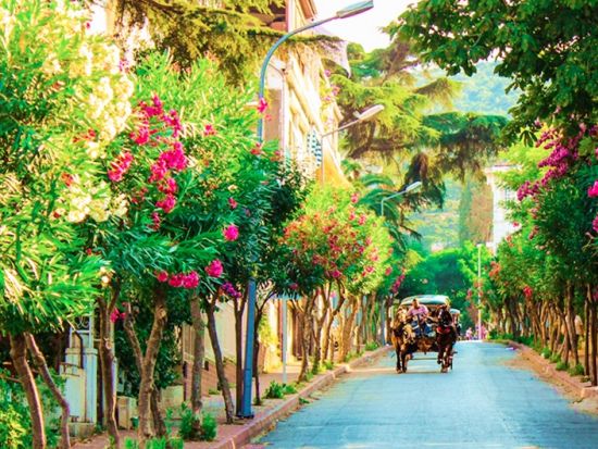 クルーズで行く！プリンスアイランド　1日観光ツアー ＜昼食付き／英語ガイド／イスタンブール発＞