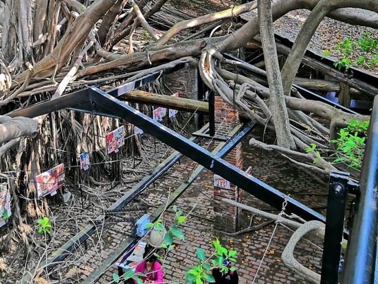 20190328045855_412302829_0