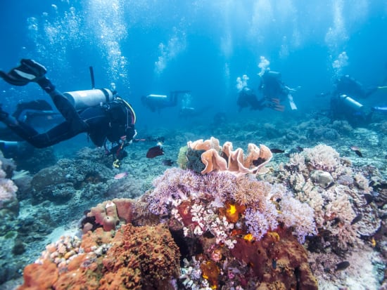 Great Barrier Reef, Scuba Diving