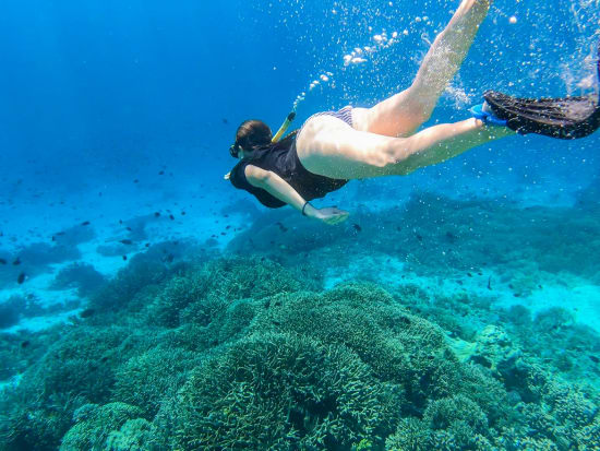 Great Barrier Reef, Snorkeling