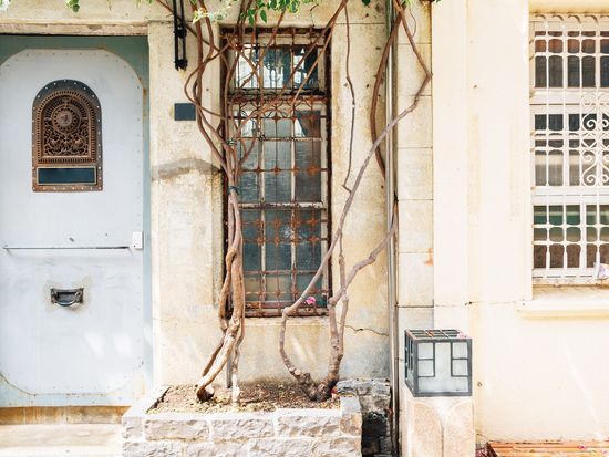 shutterstock_1348390586