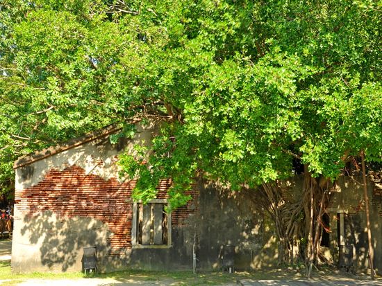 Tainan_Anping_Tree_House_shutterstock_688509820