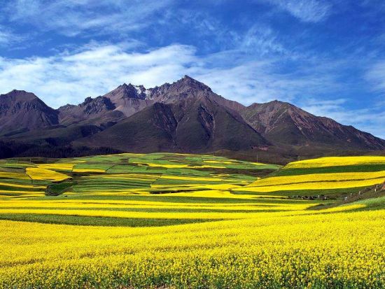 中国最大の塩湖を満喫！青海湖＋日月山＋金銀灘草原＜日本語ガイド＋専用車／昼食付／西寧発＞