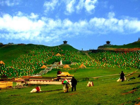 中国最大の塩湖を満喫！青海湖＋日月山＋金銀灘草原＜日本語ガイド＋専用車／昼食付／西寧発＞