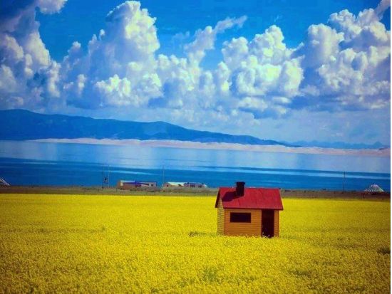 中国最大の塩湖を満喫！青海湖＋日月山＋金銀灘草原＜日本語ガイド＋専用車／昼食付／西寧発＞