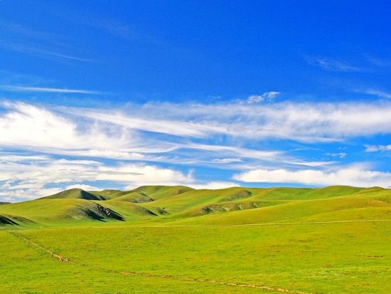 中国最大の塩湖を満喫！青海湖＋日月山＋金銀灘草原＜日本語ガイド＋専用車／昼食付／西寧発＞