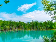 Japan_Hokkaido_Biei_Blue_Pond_summer_shutterstock_1655141308-2