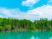 Japan_Hokkaido_Biei_Blue_Pond_summer_shutterstock_1655141308