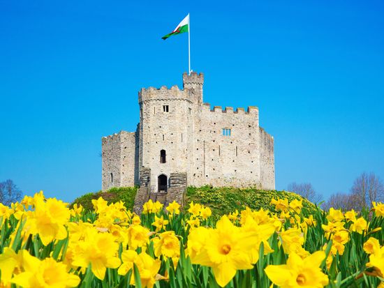Cardiff Day Trip From London By Rail With Cardiff Castle Entry Bus Tour Tours Activities Fun Things To Do In London United Kingdom Veltra Cardiff Day Trip From London By Rail With Cardiff Castle Entry Bus Tour Tours Activities Fun Things To Do In London United Kingdom Veltra