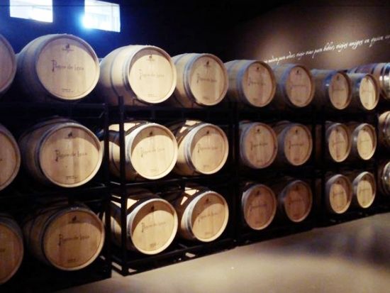 リオハ地方　ワイナリー2軒＋アロ自由散策　1日ツアー＜日本語ガイド選択可／専用車／サン・セバスチャン発着＞