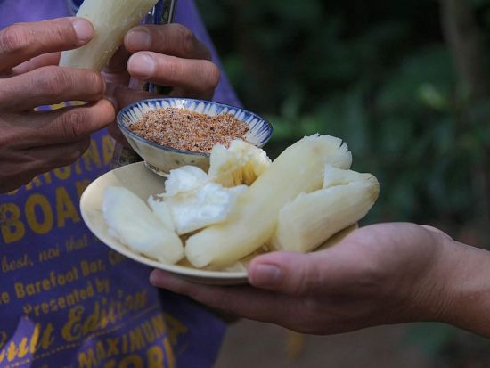 クチトンネル半日観光ツアー　250kmにおよぶ秘密の地下トンネルへ！ベトナム伝統料理が堪能できる食事付きプランあり ＜現地ガイド（日本語可）／午前または午後＞