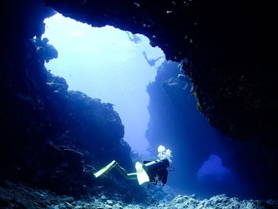 ファンダイビング ミクロネシア最大の大手ショップ！ポイントのリクエスト可能＜ボート／1日最大3ダイブ＞by アクアコネクションズ