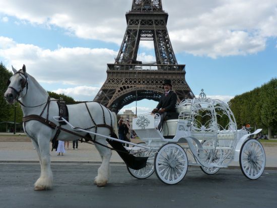 馬車に乗ってロマンチックにパリ散策ツアー＜１時間～／エッフェル塔付近＞