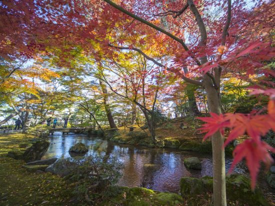 貸切観光タクシー ひがし茶屋街・兼六園・金沢21世紀美術館など金沢の人気スポット8か所へご案内＜5時間／1～9名／選べる車種／金沢発着＞by 冨士タクシー