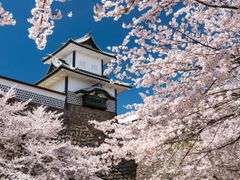 貸切観光タクシー 兼六園 金沢城など金沢の人気スポットへご案内 着物レンタル付きプランあり 選べる出発時間 金沢市 金沢の観光 遊び 体験 レジャー専門予約サイト Veltra ベルトラ