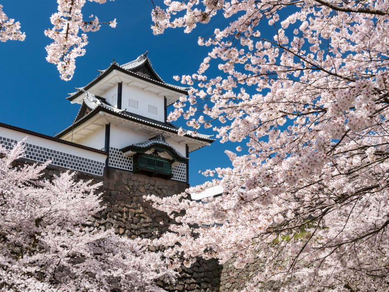 貸切観光タクシー 7時間 ひがし茶屋街 兼六園 金沢城 近江町市場など金沢の人気スポット10か所へご案内 選べる出発時間 1 9名 金沢市 By 冨士タクシー 金沢の観光 遊び 体験 レジャー専門予約サイト Veltra ベルトラ