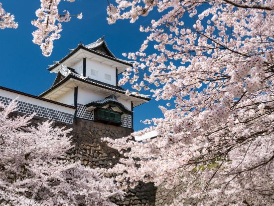 貸切観光タクシー ひがし茶屋街・兼六園・金沢城・近江町市場など金沢の人気スポット10か所へご案内＜1日／1～9名／選べる車種／金沢発着＞by 冨士タクシー