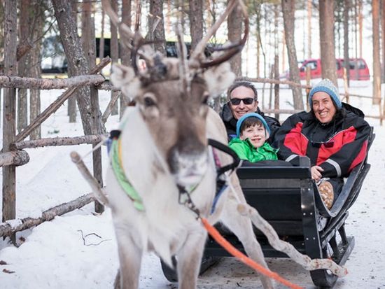 Reindeer-Safari-in-the-Deep-Forest-2-1000x563