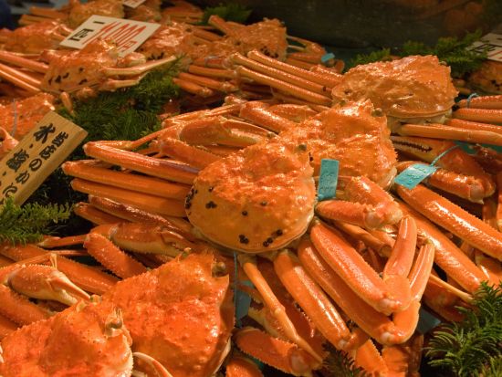 貸切観光タクシー ひがし茶屋街・兼六園・金沢城・近江町市場など金沢の人気スポット10か所へご案内＜1日／1～9名／選べる車種／金沢発着＞by 冨士タクシー