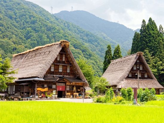 金沢発着日帰りバスツアー 白川郷＋飛騨高山  世界遺産と小京都をめぐるプラチナルート周遊 山の幸満載の昼食付＜水・木 催行／添乗員同行／1日＞*即予約確定日あり