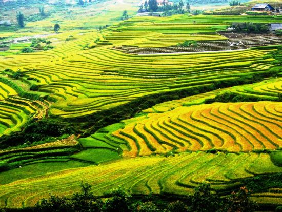 天空の秘境サパ1泊2日ツアー　少数民族が暮らす村へトレッキング観光あり　インフィニティプール利用可！＜トパスエコロッジ宿泊＆食事付／VIP高級車送迎／ハノイ発＞