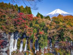 Jpapn_Shizuoka_Shiraito Falls_autumn_leaf_in Fujinomiya_shutterstock_685498582
