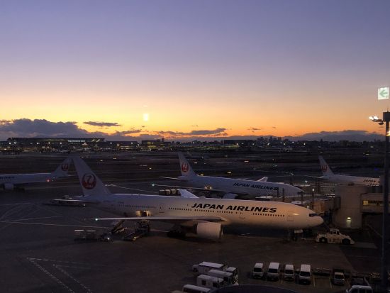 【ベルトラ限定】フライトシュミレーター ボーイング機 vs エアバス機 人気の飛行機2機種を乗り比べ！＜30分／羽田空港第1ターミナル＞ 
