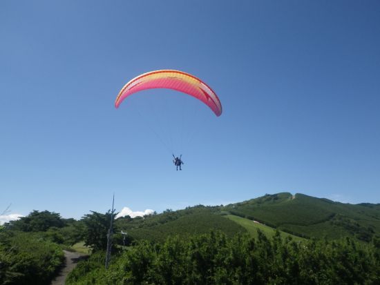 パラグライダー　タンデムフライト　伊豆スカイラインからのアクセス抜群で気軽にリフレッシュ＜昼限定／熱海＞
