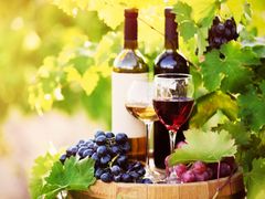 Generic_Wine_shutterstock_249415567