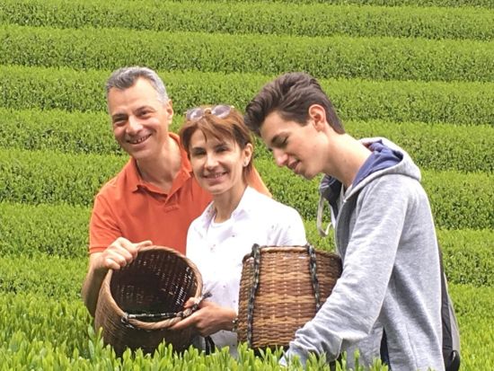静岡茶農家体験＋クロスバイクツアー　お茶の飲み比べ体験付き＜半日／ガイド付／静岡＞