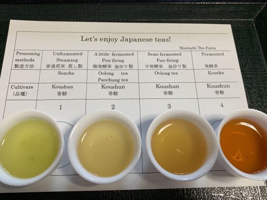 静岡茶農家体験＋クロスバイクツアー　お茶の飲み比べ体験付き＜半日／ガイド付／静岡＞