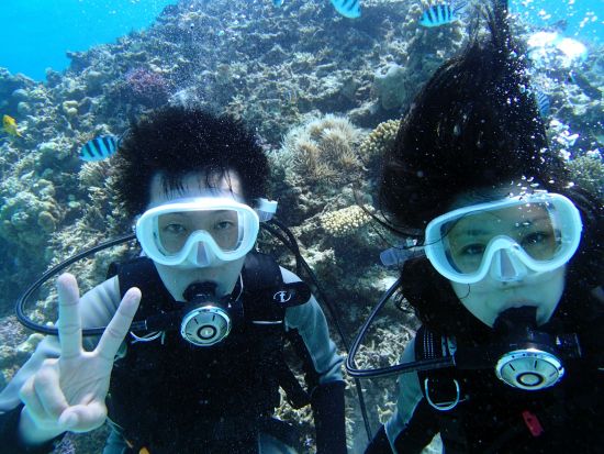 パナリ島体験ダイビング 南の楽園パナリ島を1日満喫！ビーチでシュノーケリングタイム付き＜市街地ホテル送迎可／石垣島発＞by フージーマリンサービス